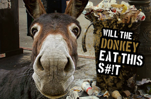 Will the Donkey Eat This S#%t?